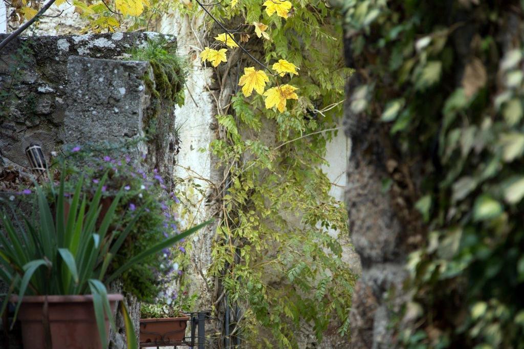 La Bifora E Le Lune Vico Sotto Gli Archi 5 Santo Stefano Di Sessanio Exterior photo